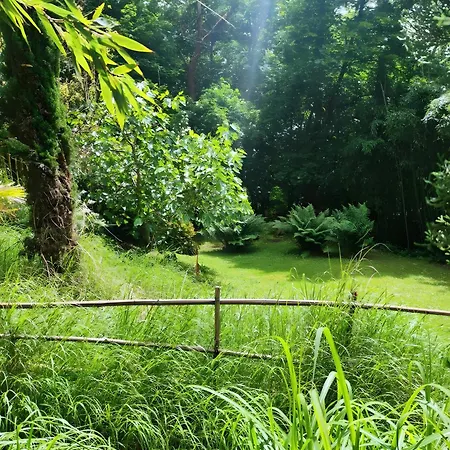 アパート Maison Des Bois Bièvres