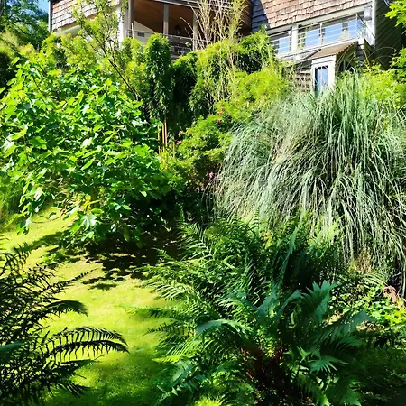 アパート Maison Des Bois *